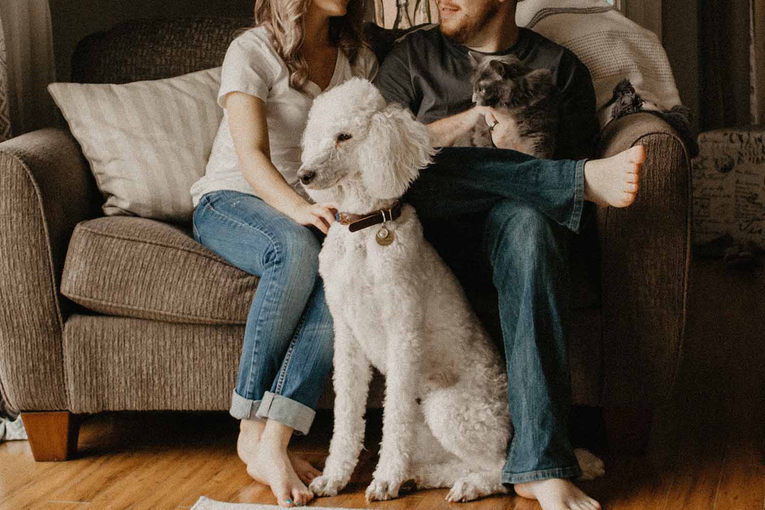 a person and person sitting on a couch with a dog and cat